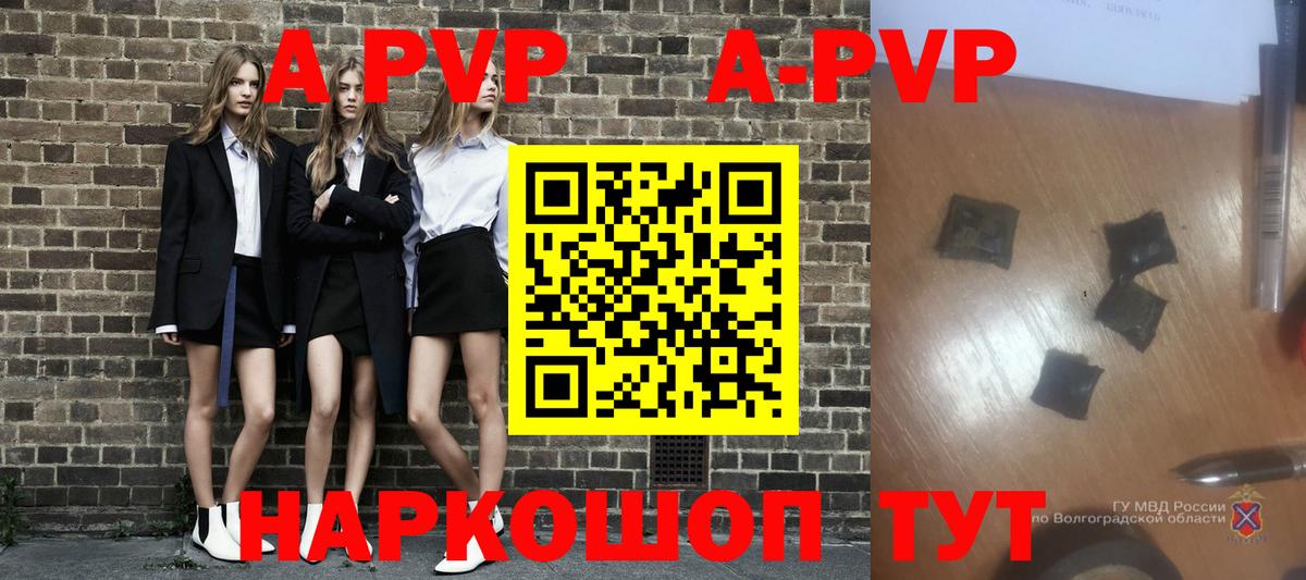 Alfa_PVP СК КРИС Холмск