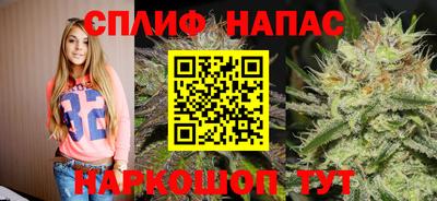PSILOCYBIN Кулебаки