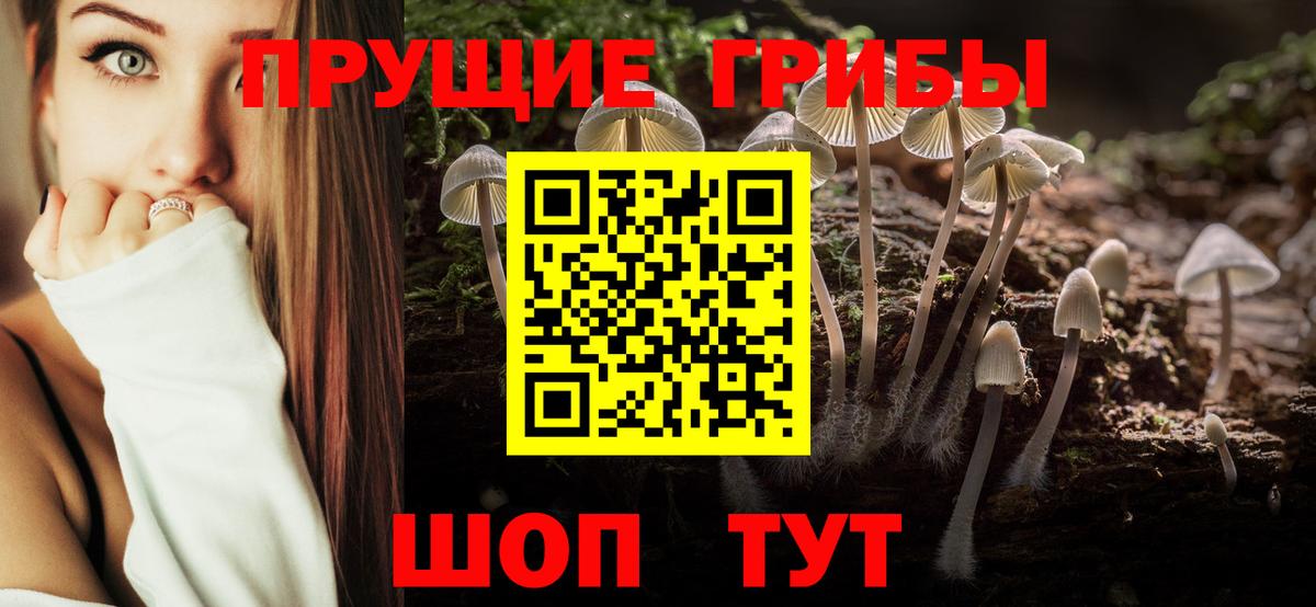 Галлюциногенные грибы Cubensis Холмск